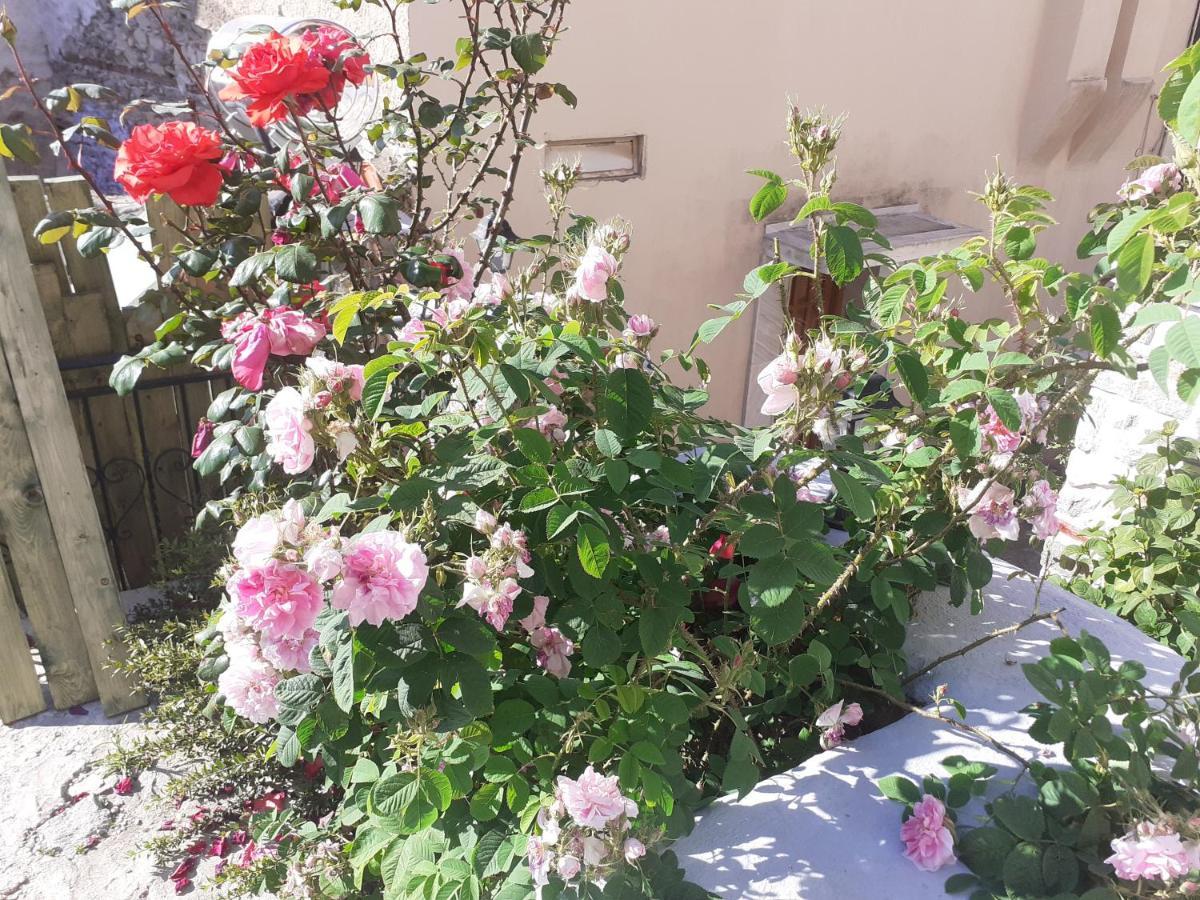 Mini Room In Old Town Cavala Exterior foto